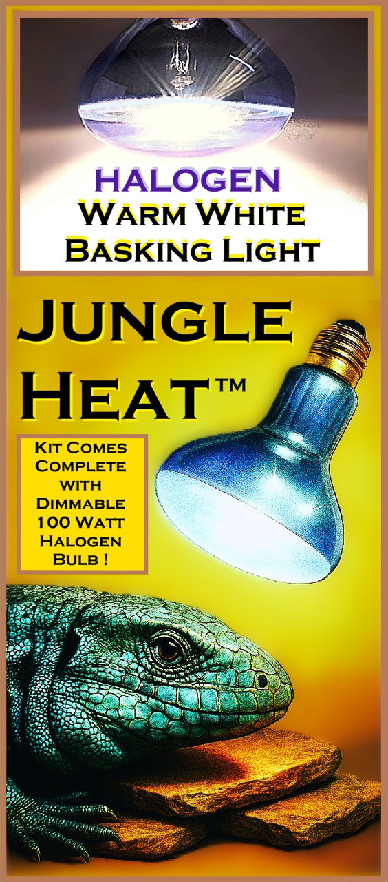 Snake Basking Light Upgrade Kit