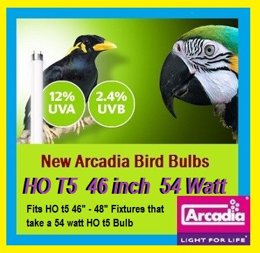 アイケア bird American Woodcock Plush Crossbody Bag - Coming Spring 2026