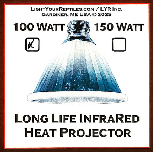 Jungle Heat™ 100 Watt IR Heat Projector Bulb