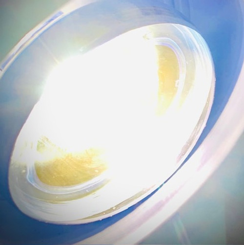 Jungle Heat™ Halogen Basking Bulb 100 watt Jungle Heat™ Halogen Basking Bulb 100 watt