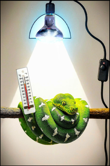 Snake Basking Light Upgrade Kit Snake Basking Light Upgrade Kit