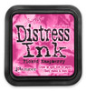 TIM HOLTZ Distress Ink Pad: Picked Raspberry
