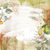 49 AND MARKET 12x12 Paper: Vintage Orchard - Pear Tree