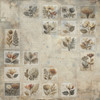 49 AND MARKET 12x12 Collection Pack: Faded Memory Lane