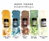 LINDY'S STAMP GANG Shimmer Shaker 5-Pack: Been There by Katie Pertiet