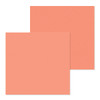 PREORDER - ships in July: DOODLEBUG DESIGNS 12x12 Dots/Stripe Petite Prints - Coral (25 sheets)