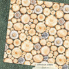 GRAPHIC 45 Adventure Awaits 12x12 Paper: Tree Rings