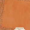 GRAPHIC 45 BOOtiful Greetings 12x12 Collection Pack (Patterns & Solids)