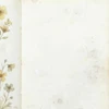 COMING SOON: 49 AND MARKET 12x12 Paper: The Quiet Observer - Vellum Whispers