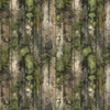 COMING SOON: 49 AND MARKET 12x12 Paper: Campfire Memories - Lakeside