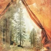 COMING SOON: 49 AND MARKET 12x12 Paper: Campfire Memories - Tent