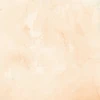 COMING SOON: 49 AND MARKET 12x12 Paper: Mouse & Co. - Solid Sheet 2