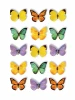 PAPER HOUSE PRODUCTIONS Pop-Up Stickers: Butterflies
