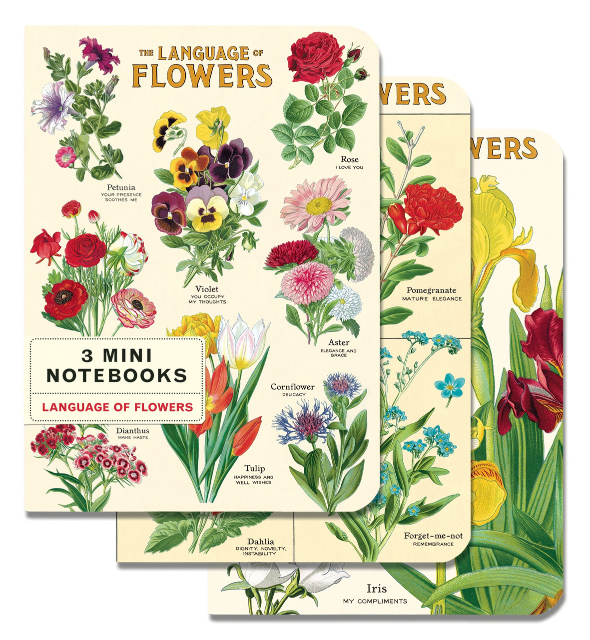 CAVALLINI PAPERS & CO. Mini Notebooks (3/Pkg): Language of Flowers ...