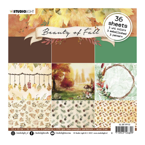 Studio Light Beauty of Fall 6x6 Paper Pad: #13