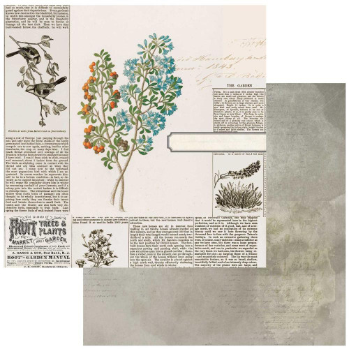 49 AND MARKET Vintage Artistry 12x12 Paper: Curators Botanical - Garden Clippings