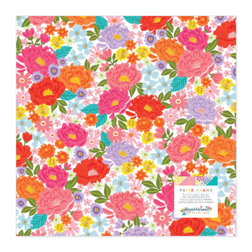 PREORDER - ships late May: AC Paige Evans Adventurous 12x12 Specialty Paper: Acetate