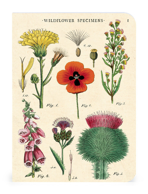 CAVALLINI PAPERS & CO. Mini Notebooks (3/Pkg): Wildflowers 2 ...