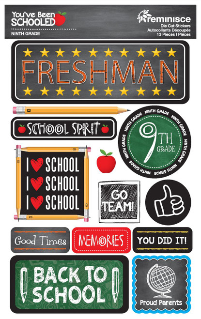 REMINISCE You've Been Schooled Dimensional Sticker: Freshman