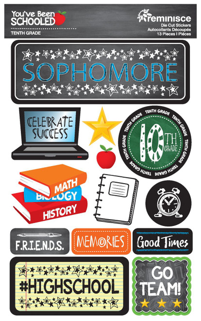 REMINISCE You've Been Schooled Dimensional Sticker: Sophomore