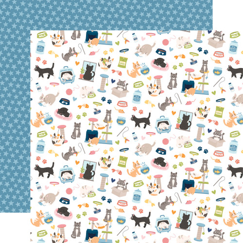 ECHO PARK Cat Lover 12x12 Paper: Cat Lover
