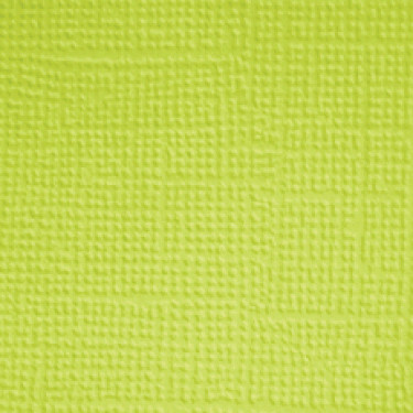 PREORDER - ships in July: DOODLEBUG DESIGNS 12x12 Textured Cardstock - Citrus (25 sheets)