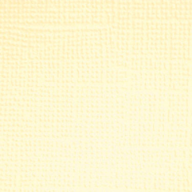 PREORDER - ships in July: DOODLEBUG DESIGNS 12x12 Textured Cardstock - Cream (25 sheets)