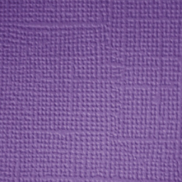 PREORDER - ships in July: DOODLEBUG DESIGNS 12x12 Textured Cardstock - Orchid (25 sheets)