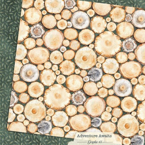 GRAPHIC 45 Adventure Awaits 12x12 Paper: Tree Rings