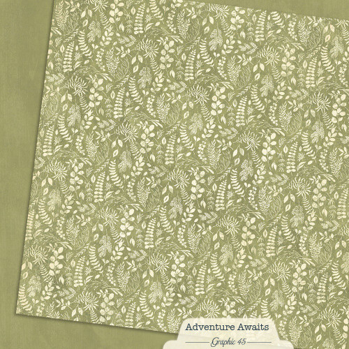 GRAPHIC 45 Adventure Awaits 12x12 Paper: Fern Green