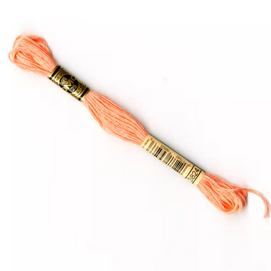 DMC Six-Strand Embroidery Floss: 3824 - LT Apricot - Scrapbook