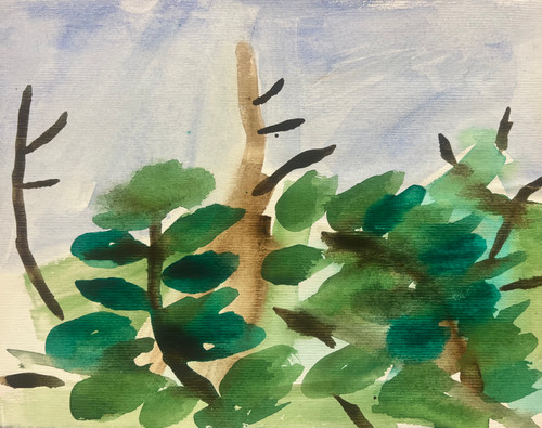 Tucker Nichols: LS2165