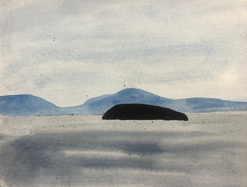 Tucker Nichols: LS2170