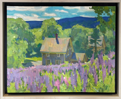 Colin Page: Lupine Field