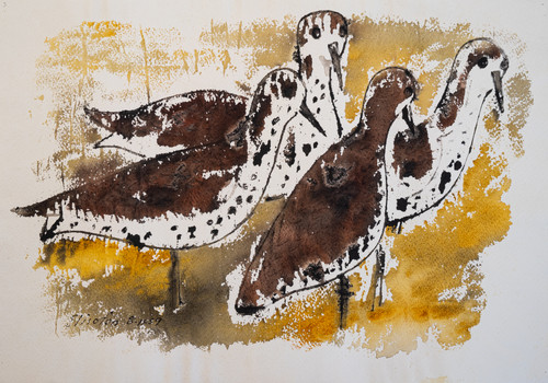 Eliot Elisofon: Birds #5