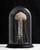 Stephanie Crossman: Essence of Jellyfish (Dome) (SOLD)
