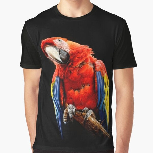 Stunning photograph of a vibrant scarlet macaw bird perched on a branch against a black background