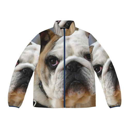 English Bulldog wearing a cozy puffer jacket