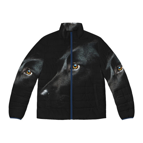 Black Labrador Retriever wearing a fashionable puffer jacket