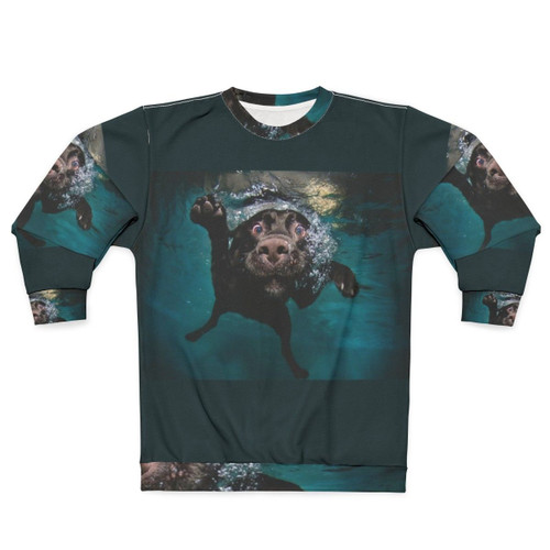Cute dog wearing a sweatshirt and swimming underwater