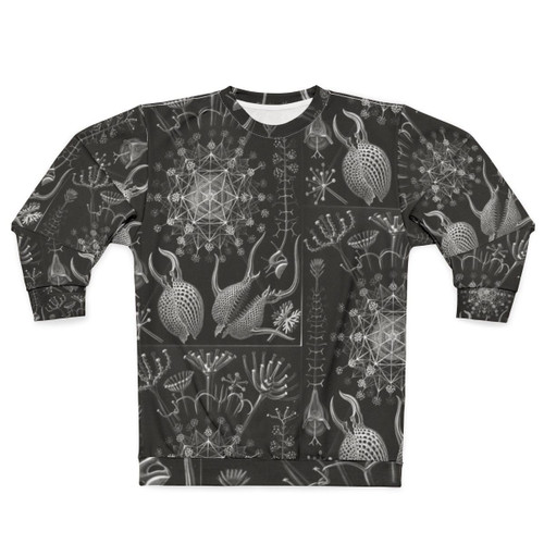 Ernst Haeckel Phaeodaria Illustration Sweatshirt