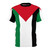 Vibrant palestine flag AOP t-shirt design with middle eastern inspired graphics