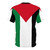 Vibrant palestine flag AOP t-shirt design with middle eastern inspired graphics - Back