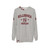 Young Royals Jersey Sweatshirt featuring the Hillerska school crest - hanging