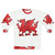 Welsh red dragon leather texture sweatshirt