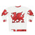 Welsh red dragon leather texture sweatshirt - Back