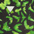 Green Halloween Bats Hawaiian Shirt - Detail