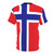 Patriotic t-shirt featuring the Norway flag, perfect for fans of the country and sports enthusiasts. - Back