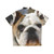 English Bulldog wearing a vibrant Hawaiian-style shirt - Back