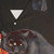 Dollop Fred Hampton Inspired Hawaiian Shirt - Detail